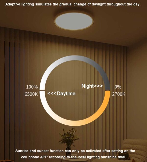 1 Mount Ceiling Light 30W SPI RGBIC CCT Smart 12 Inch WiFi Color temperature