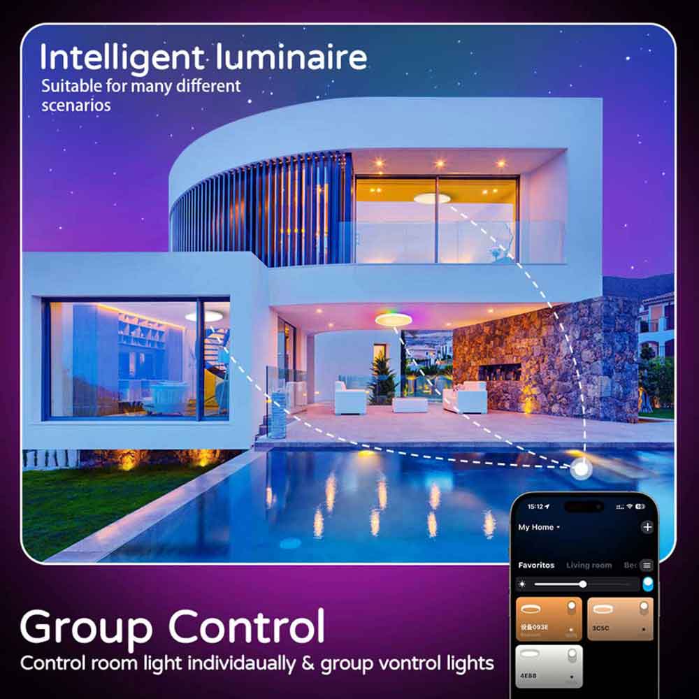 Flush Mount Ceiling Light 30W SPI RGBIC CCT Smart 12 Inch WiFi-AMZ-Lighting Flush Mount Ceiling Light 30W SPI RGBIC CCT Smart 12 Inch WiFi-AMZ-Lighting