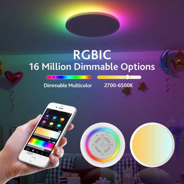 4 modern flush mount ceiling light SPI RGBIC CCT Smart 12 Inch WiFi app Control