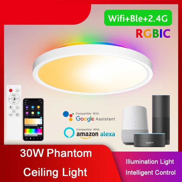 6 bathroom ceiling light 30W SPI RGBIC CCT Smart 12 Inch WiFi round led ceiling light Amazon Alexa Voice Control