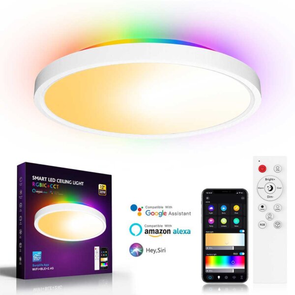 Flush Mount Ceiling Light 30W SPI RGBIC CCT Smart 12 Inch WiFi